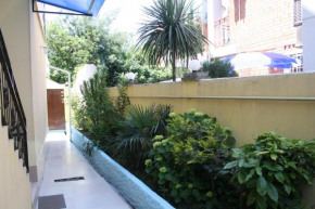 Guest House Argo